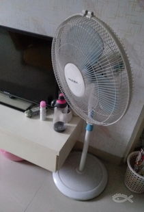 闲置家居物品整理与处理指南 从风扇到衣架